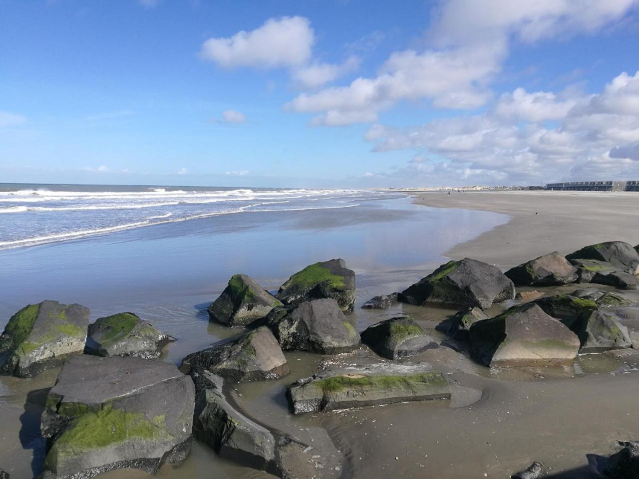 Hotel Noordzee Hoek van Holland Exteriér fotografie